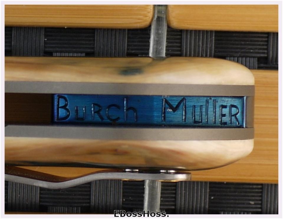 Bueller - by Michael Burch & Jody Muller